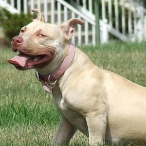 Meet your Posher, Adrienne